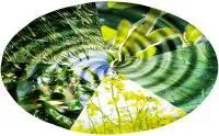 Платформа подборщик ПЗ-3,4