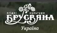 Саженцы Чудо-вишни